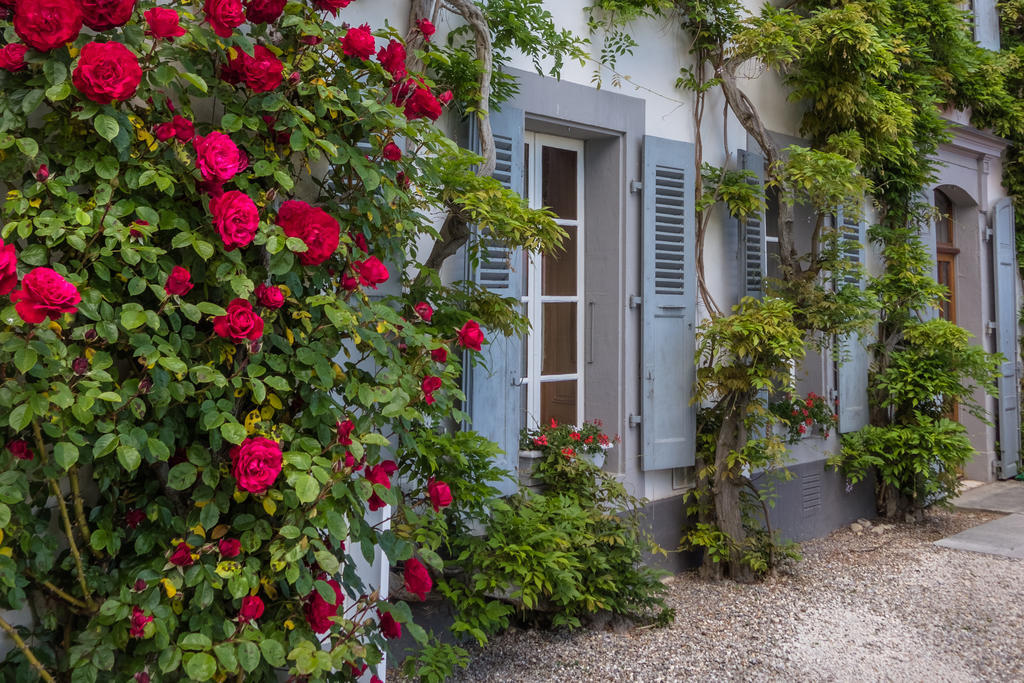 Chateau De Bossey Bogis-Bossey Exterior photo